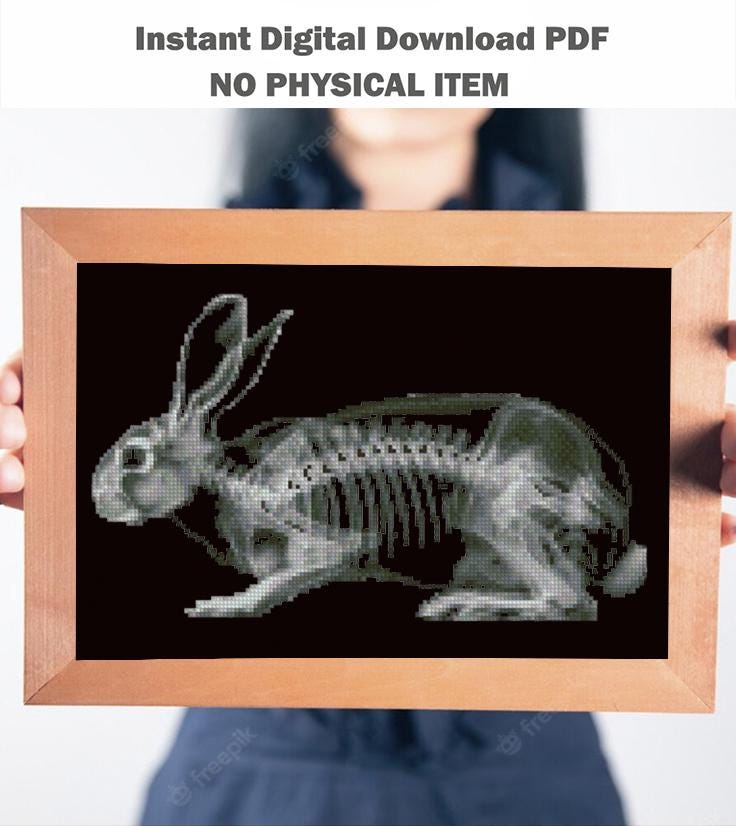 X - Ray Rabbit Cross Stitch Pattern PDF, Anatomical Bunny Skeleton Embroidery Chart, Veterinary Art, Dark Biology Needlepoint, Download - NuttyHappyHobby
