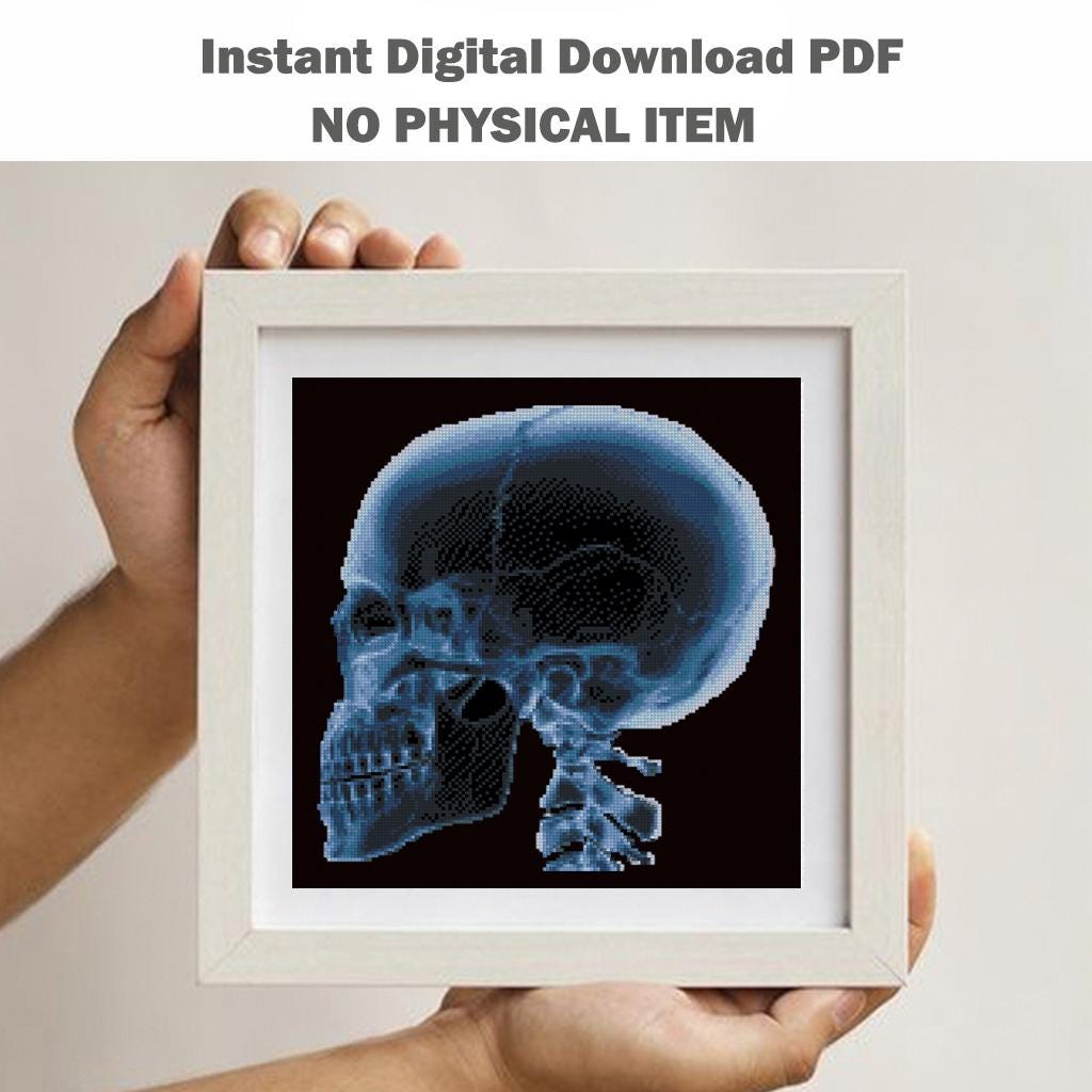X - Ray Skull Cross Stitch Pattern PDF, Anatomical Human Skull Embroidery Chart, Radiology Art, Gothic Medical Needlepoint, Instant Download - NuttyHappyHobby